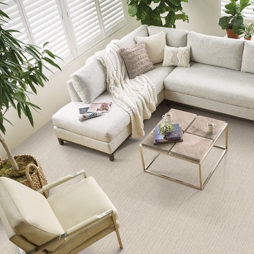 white sofa in a modern living room with beige carpet floor from Eastern Floor Covering in Virginia area